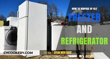 Eco-Friendly Disposal: A Guide for Old Freezers and Refrigerators