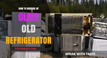 Eco-Friendly Guide: Safely Disposing of Your Old Refrigerator Responsibly