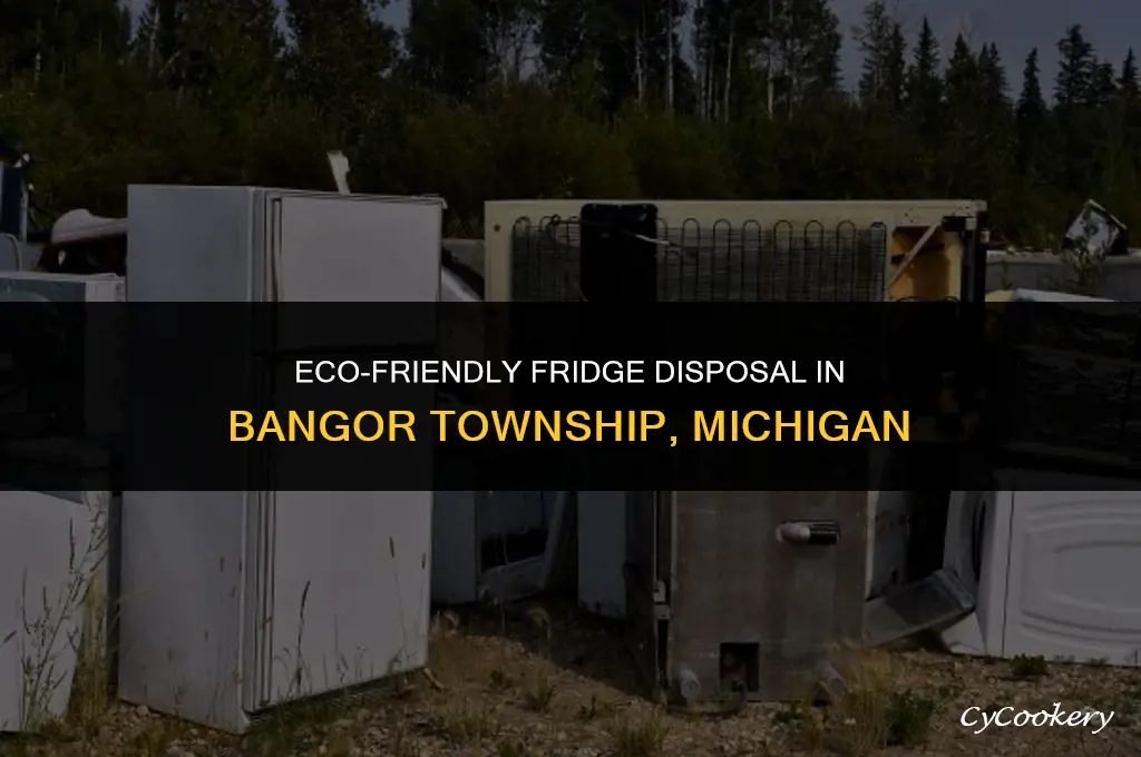 how to dispose of refrigerator in bangor township michigan