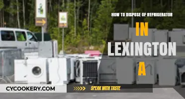 Eco-Friendly Fridge Disposal in Lexington: A Comprehensive Guide