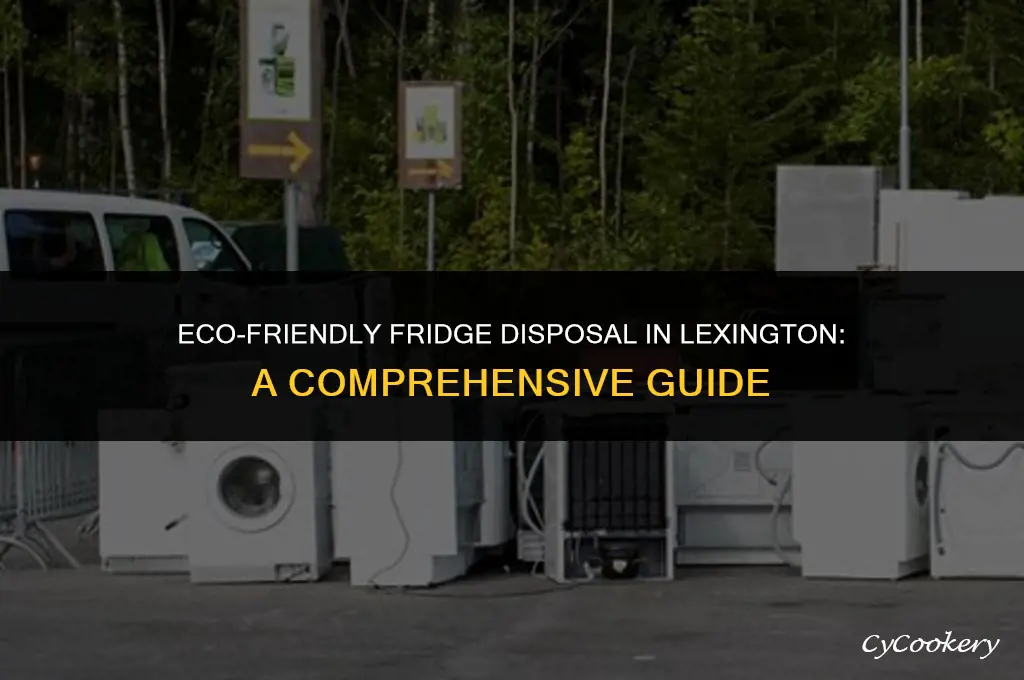 how to dispose of refrigerator in lexington a