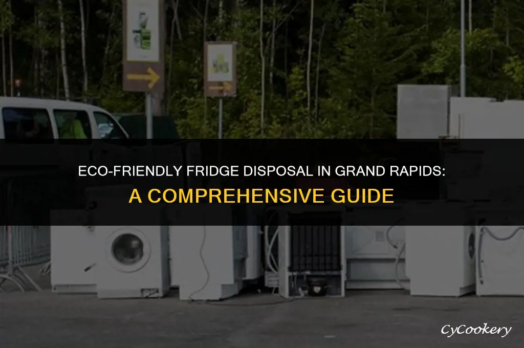 how to dispose refrigerator in grand rapids mi