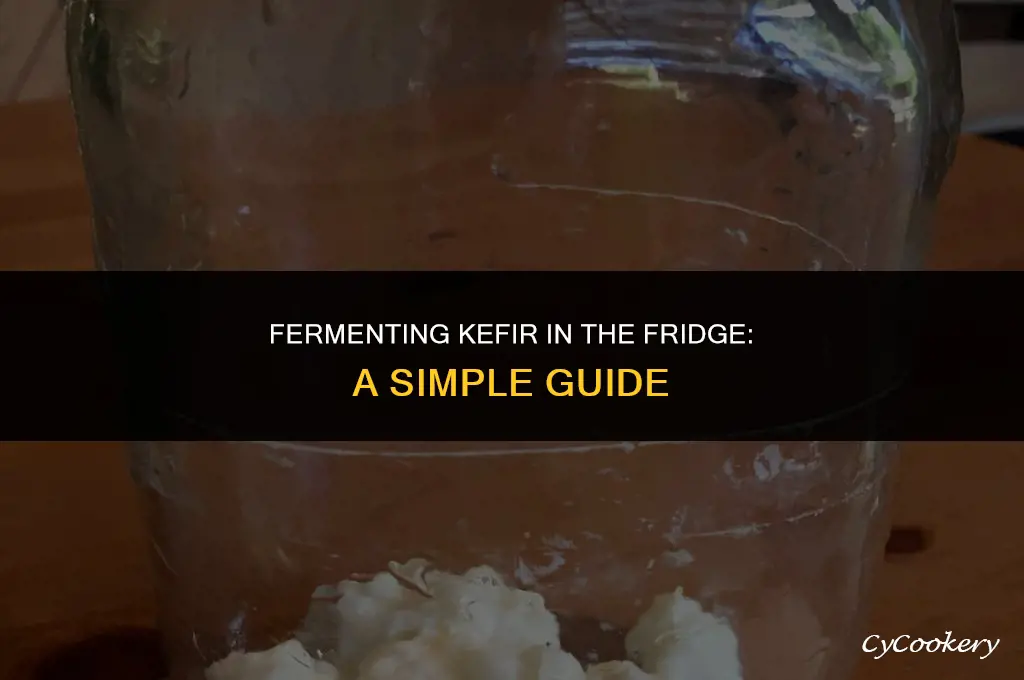 how to do a kefir ferment in the refrigerator