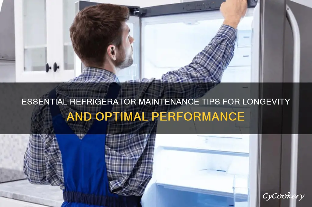 how to do maintenance on a refrigerator