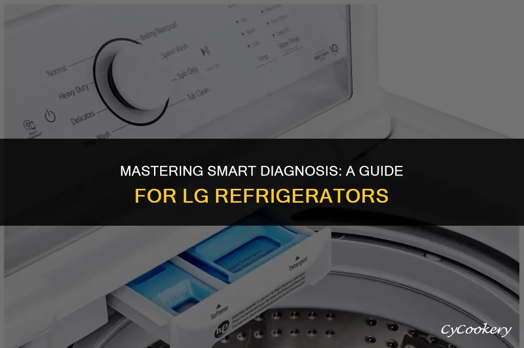 how to do smart diagnosis on lg refrigerator