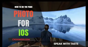 Taking Panoramic Photos on iOS: Tips and Tricks