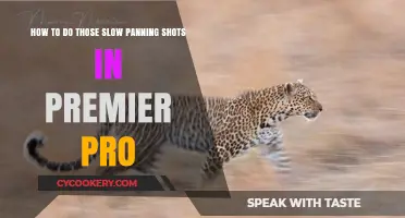 Creating Slow Panning Shots in Premiere Pro: The Ultimate Guide
