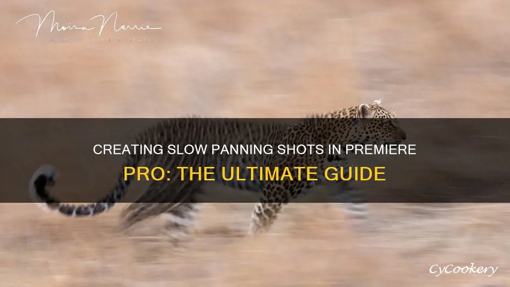 how to do those slow panning shots in premier pro