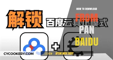 Downloading from Pan Baidu: A Step-by-Step Guide