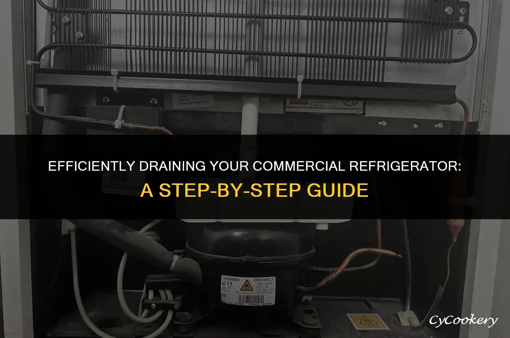 how to drain a commerc ial reach in refrigerator