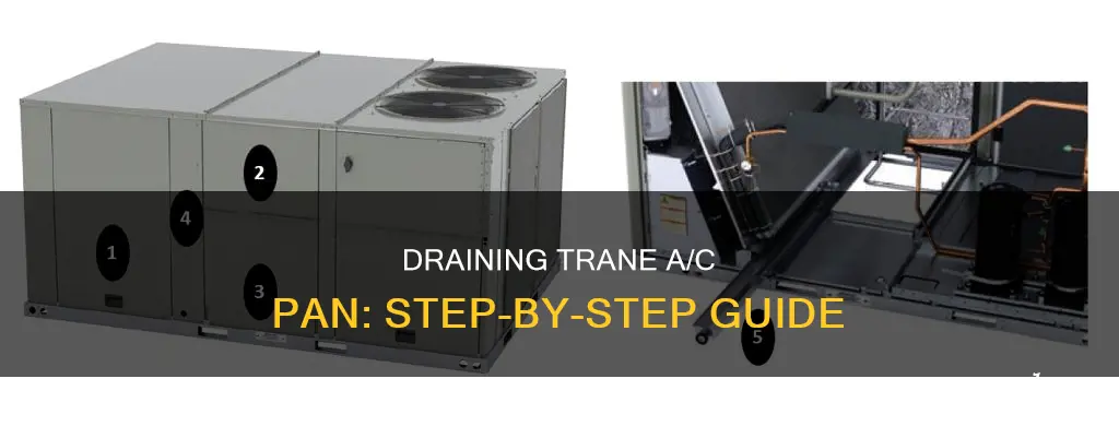 how to drain a trane a c pan