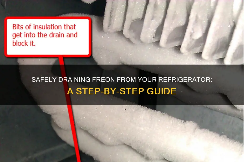 how to drain freon from a refrigerator