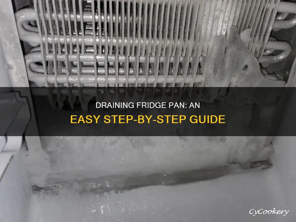 how to drain fridge pan