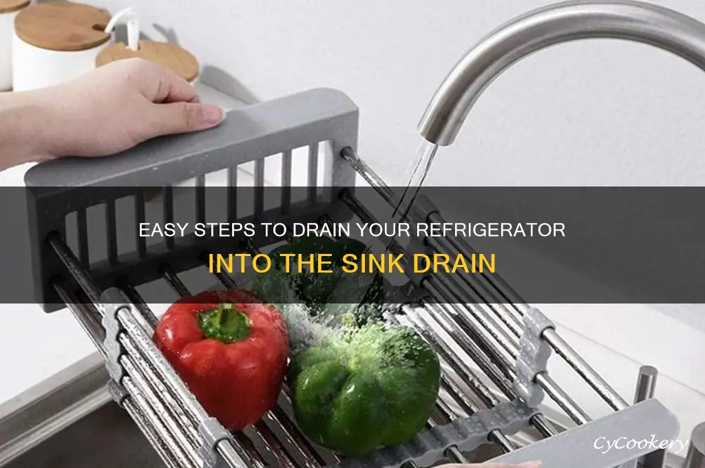 how to drain refrigerator into sink drain