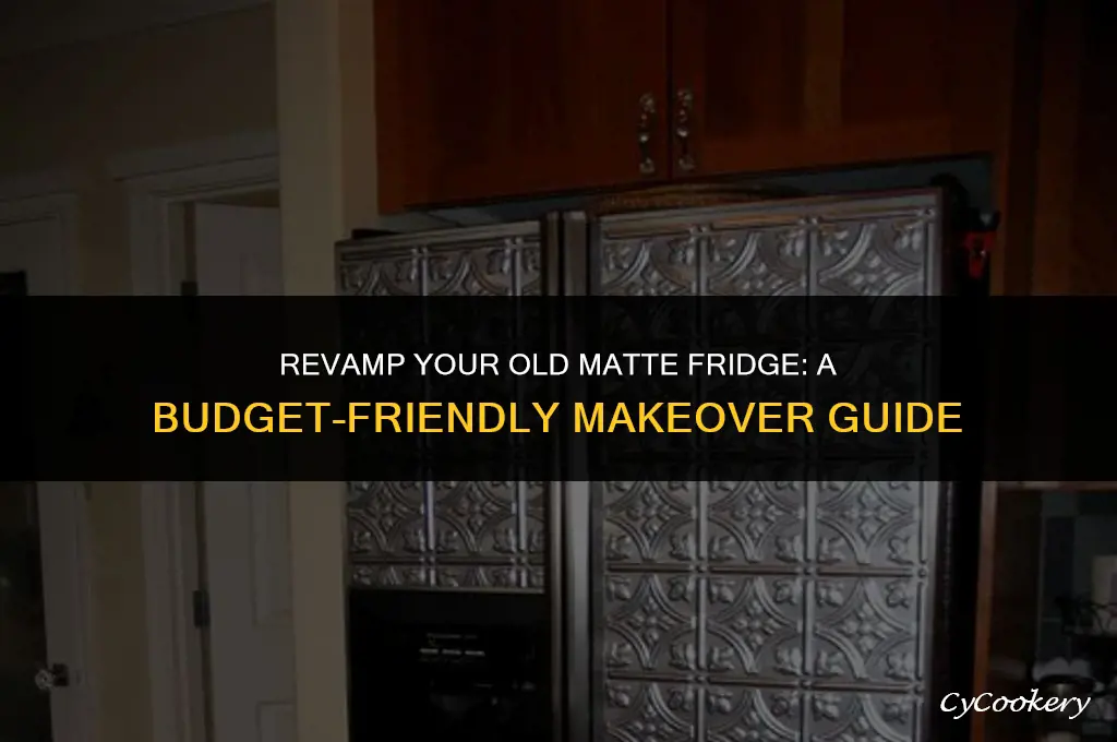 how to dress up an old matte refrigerator