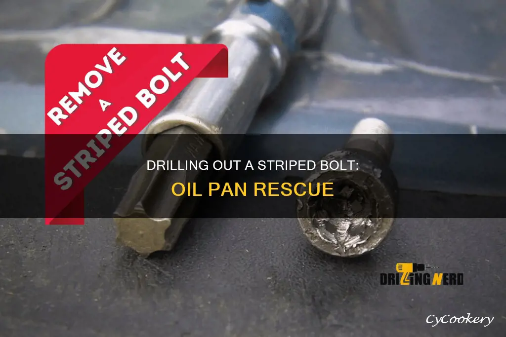 how to drill out a striped bolt from oil pan