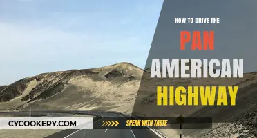 Exploring the Pan-American Highway: A Guide to Driving It
