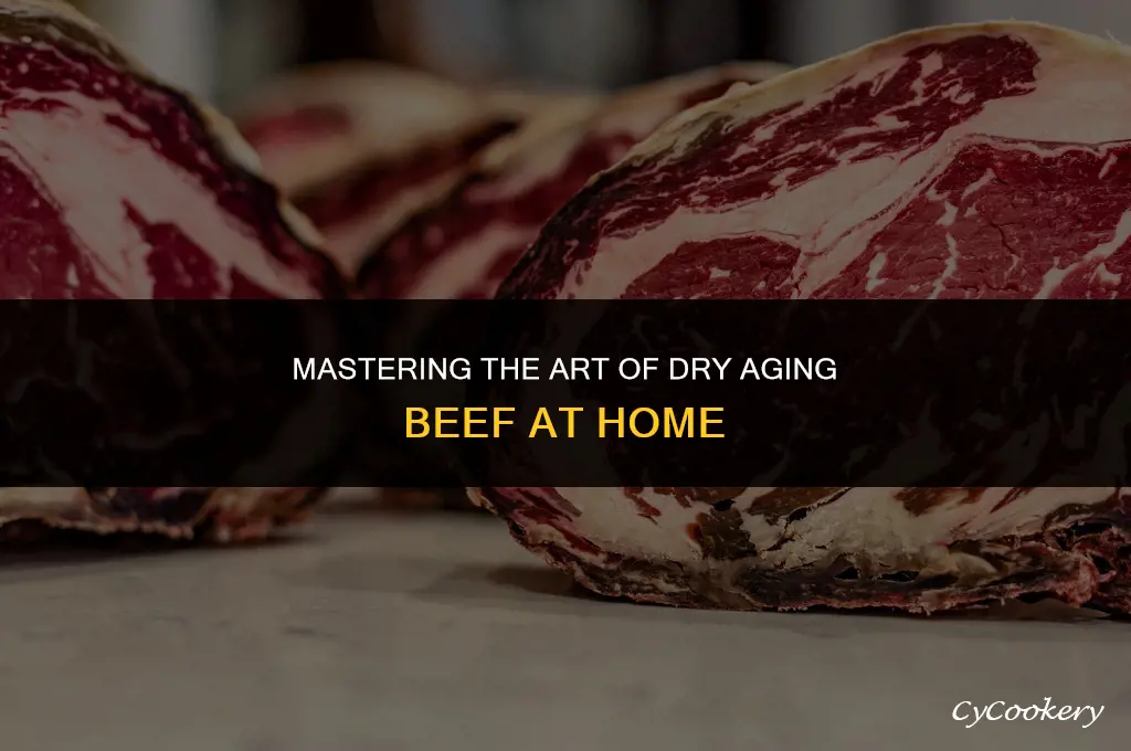 how to dry age beef in your refrigerator