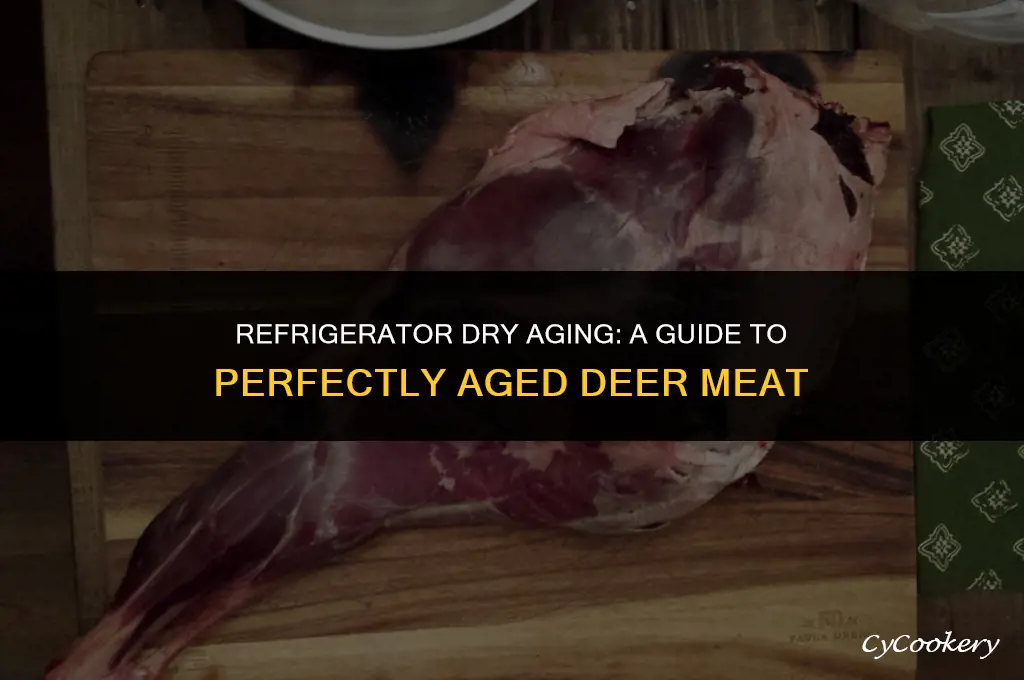 how to dry age deer meat in a refrigerator