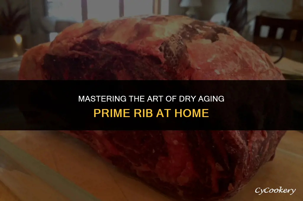 how to dry age prime rib in refrigerator