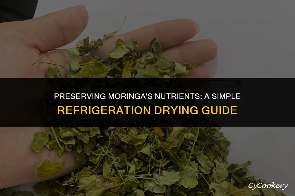 how to dry moringa leaves in the refrigerator