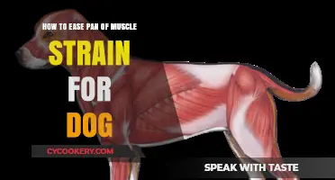 Relieving Muscle Pain: Natural Remedies for Your Dog's Comfort