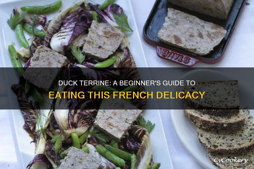 how to eat duck terrine