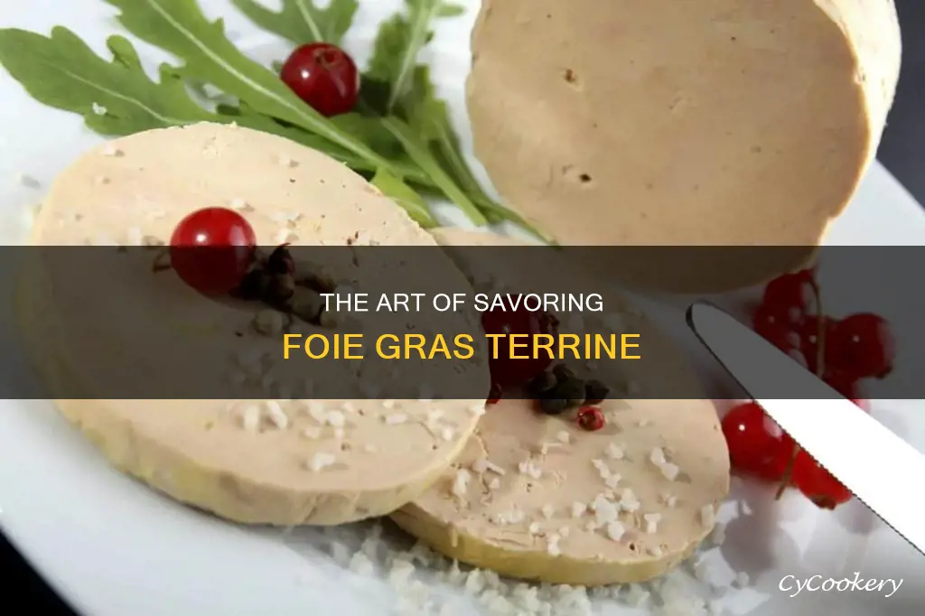 how to eat foie gras terrine