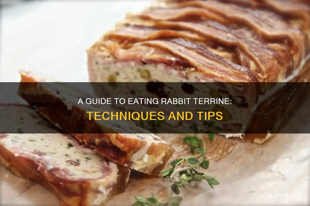 how to eat rabbit terrine