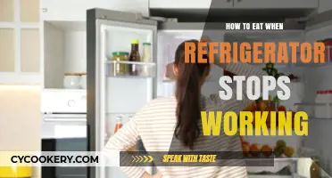 Refrigerator Down? Smart Strategies for Safe Eating Without Cooling