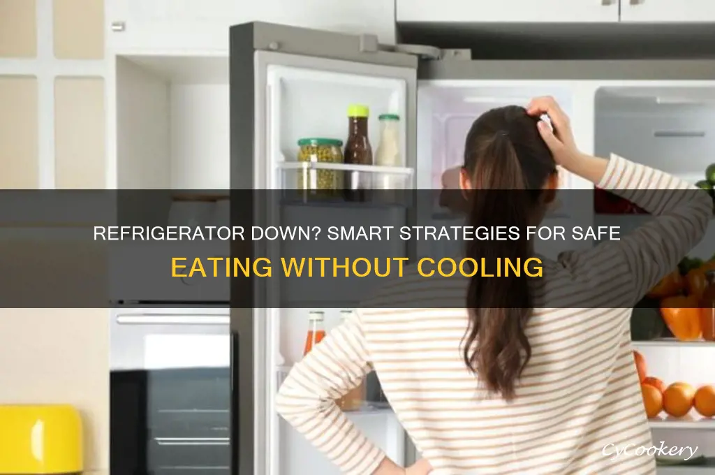 how to eat when refrigerator stops working