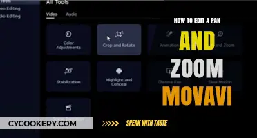 Master Pan and Zoom Effects in Movavi Videos