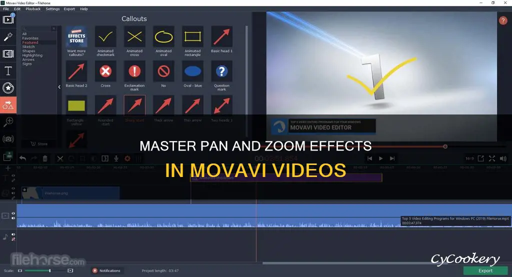 how to edit a pan and zoom movavi