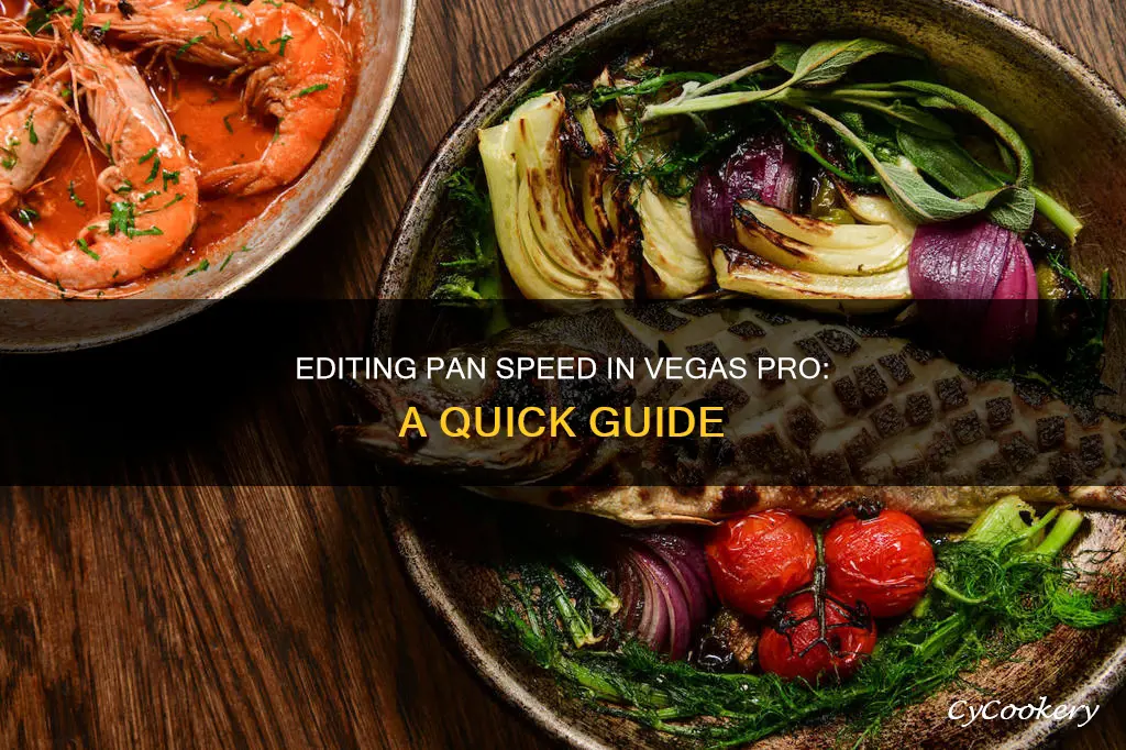 how to edit pan speed in vegas pro