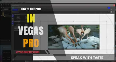 Editing Pan Shots in Vegas Pro: A Step-by-Step Guide