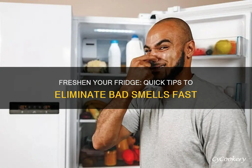 how to eliminate bad smell in refrigerator