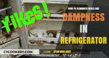 Fresh and Clean: Conquering Mold and Dampness in Your Fridge