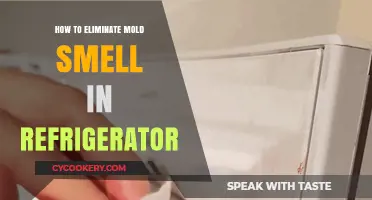 Effective Ways to Remove Mold Odor from Your Refrigerator