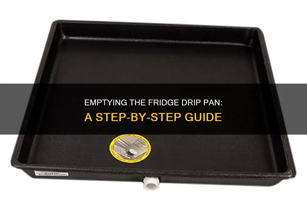 how to empty refrigerator drip pan