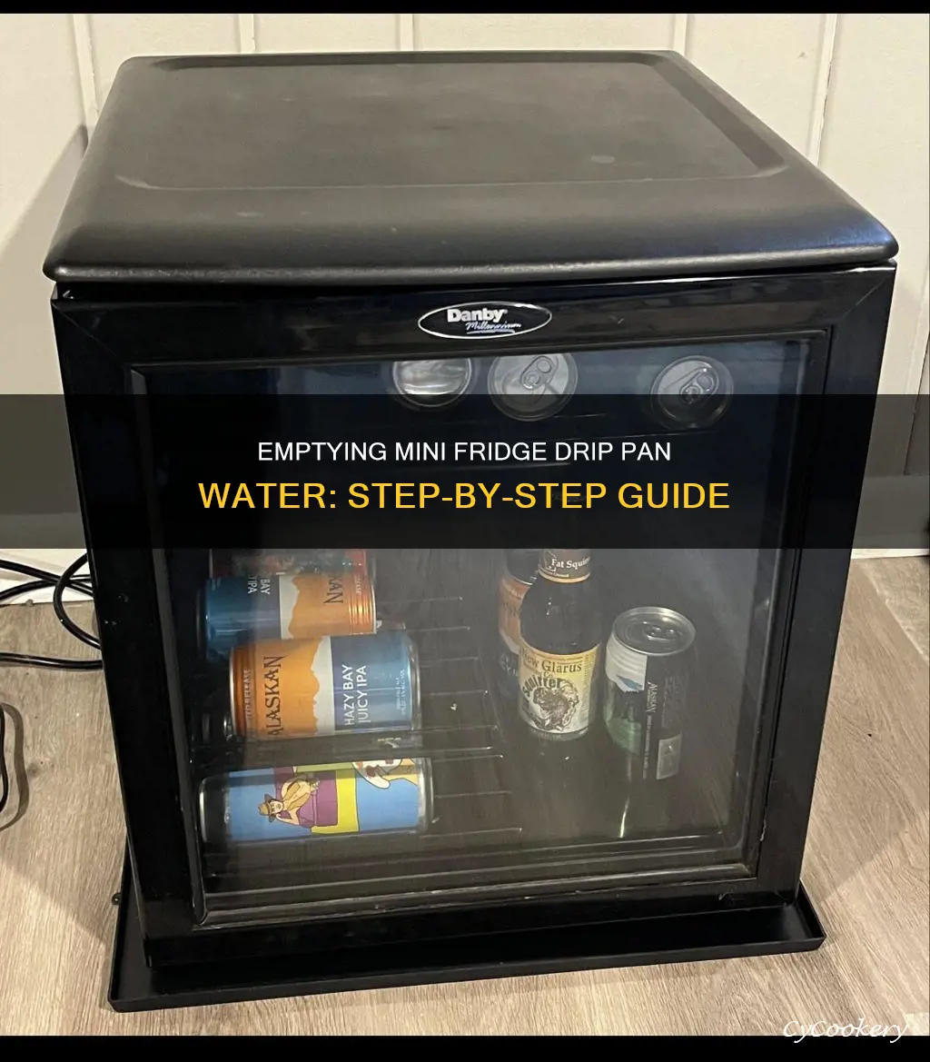 how to empty water from a mini fridge drip pan