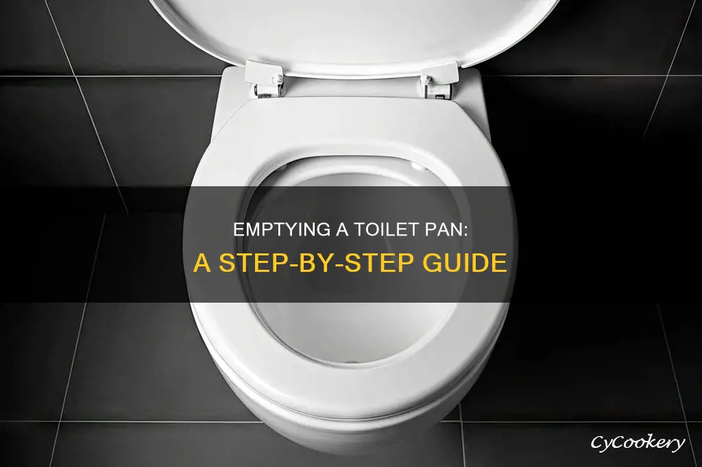 how to empty water from toilet pan