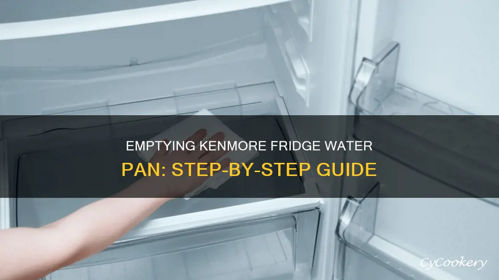 how to empty water pan of refrigerator kenmore