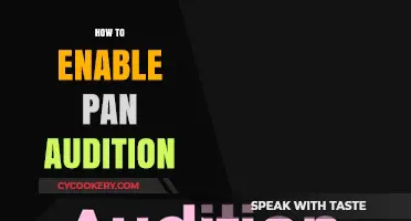 Unlocking Pan Audition: A Guide to Enablement