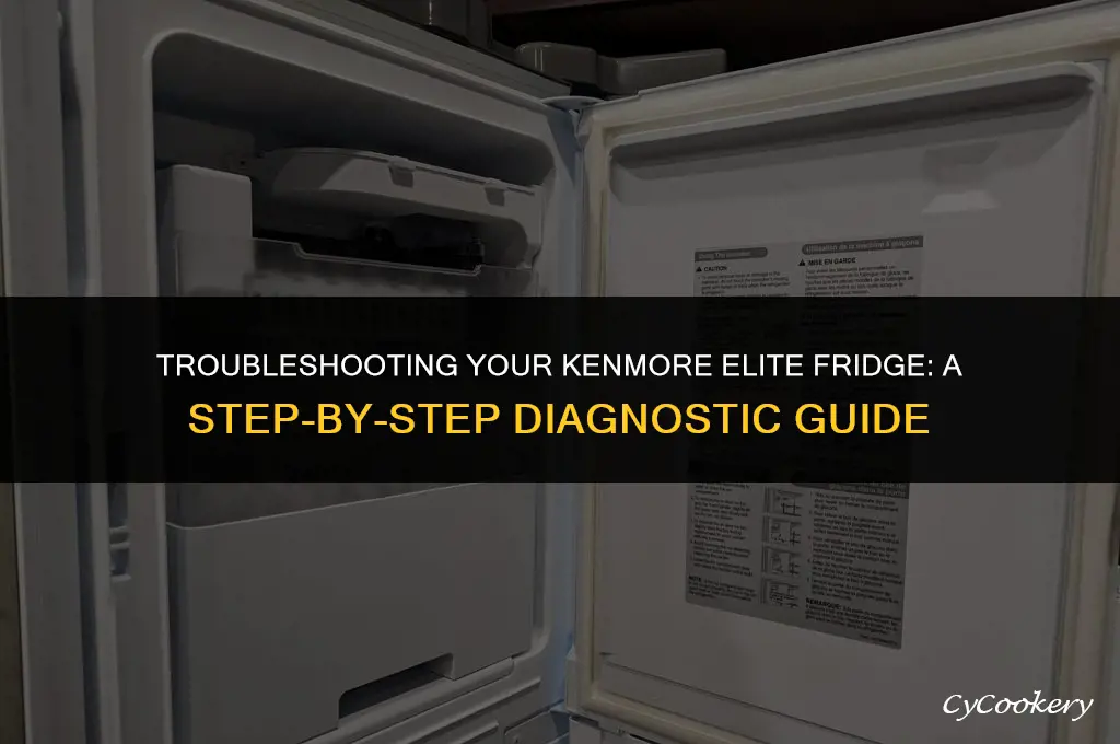 how to enter a diagnostic test kenmore elite refrigerator