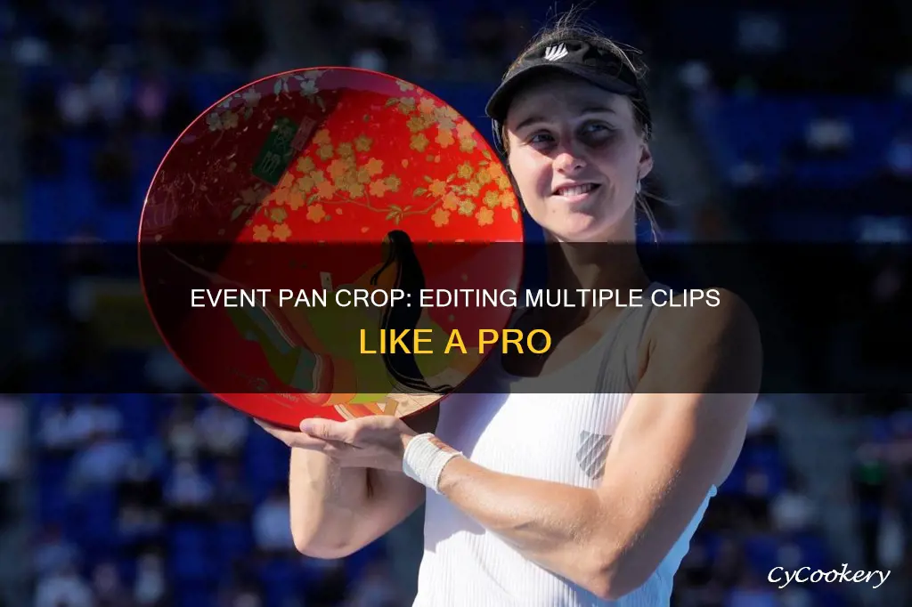how to event pan crop multiple clips