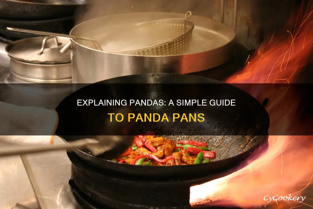 how to explain pandas pans to someone