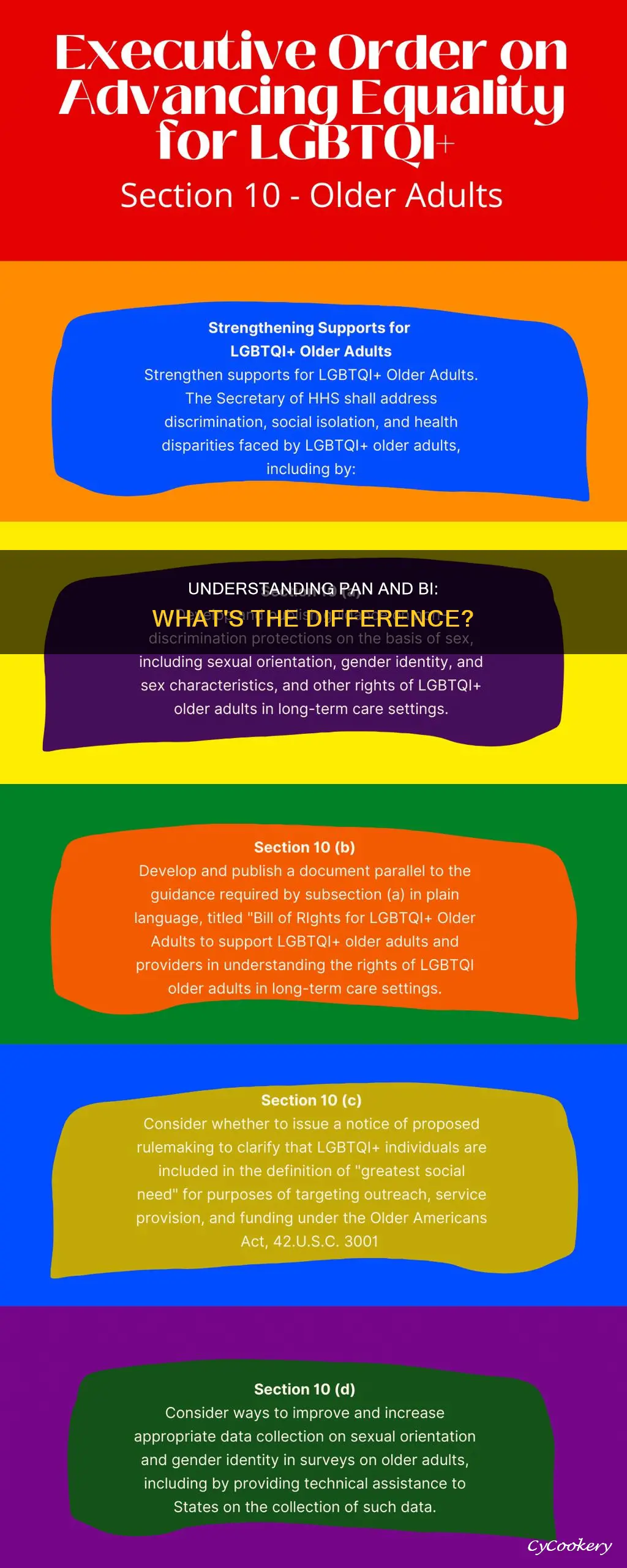 how to explain the difference between pan and bi