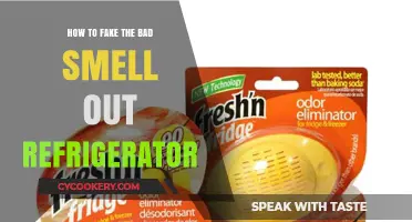 Freshen Up Your Fridge: A Guide to Eliminating Bad Odors