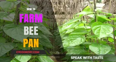 The Ultimate Guide to Farming Bee Pan