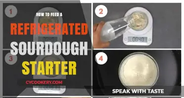 Reviving Your Chilled Sourdough Starter: Simple Feeding Tips for Success